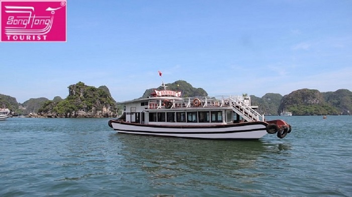 Du khách có thể tham khảo tour du thuyền Hạ Long tại Sông Hồng Tourist